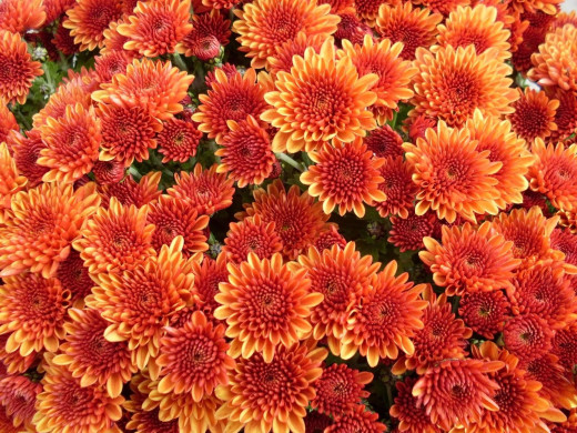 429877 (a): :1600x1200